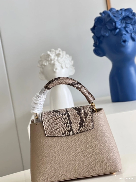 First bag ru VUITTON CAPUCINES MINI LOUIS 0802